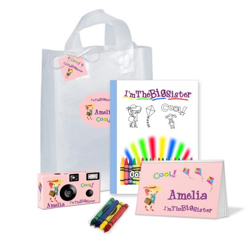 Big Sister Gift Bag Set in Pink